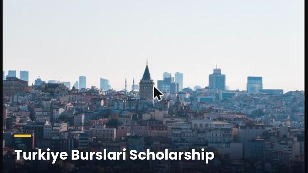 Turkiye Burslari Full Guide: How to Secure Free Tuition, Housing, and Monthly Stipends Istanbul Turkey skyline Turkiye Burslari Scholarship